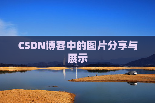 CSDN博客中的图片分享与展示
